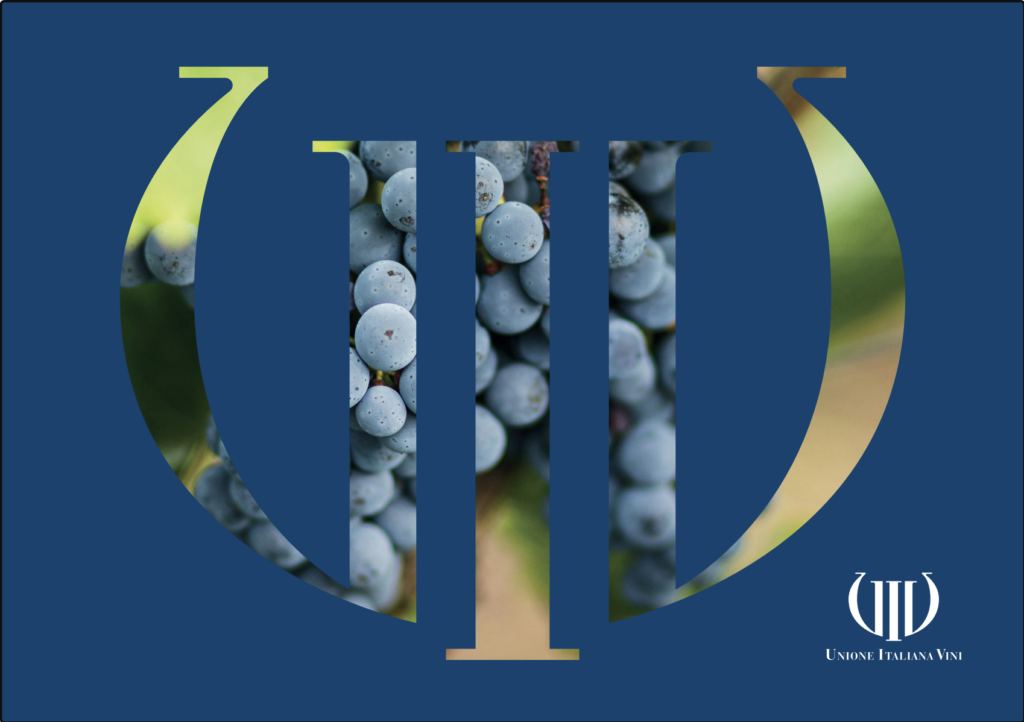 Etichettatura del vino: le nuove regole UE sul QR code entrano in vigore. Cosa deve fare la cantina entro dicembre